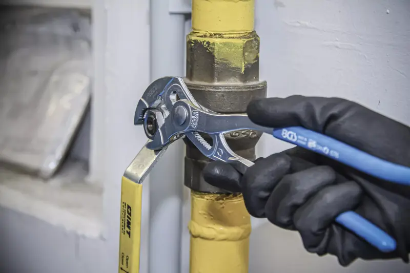 Kleště sika "SpeedyPlus" 250 mm BGS100676 (BGS100676)