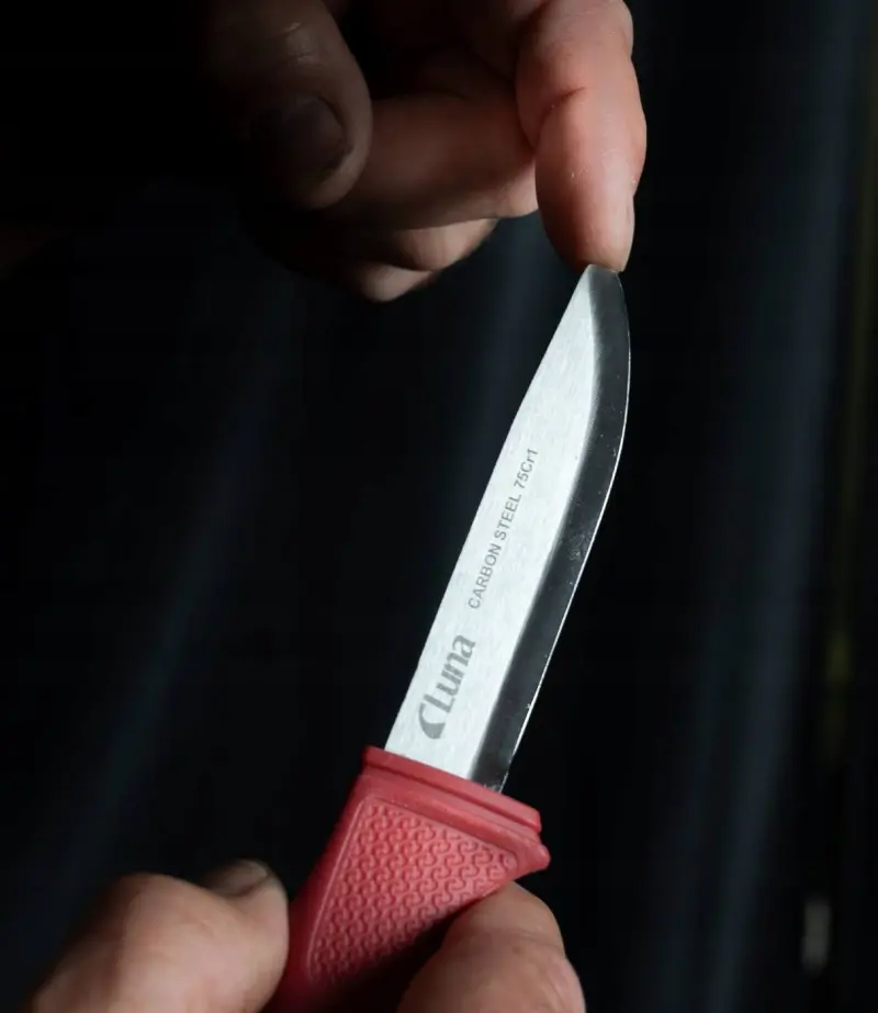 72400-luna-273700104-safety-cs-02