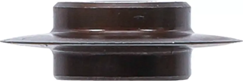 Nerezový řezný kotouč BGS1066250-1 (Pro BGS 1066250) (BGS1066250-1)