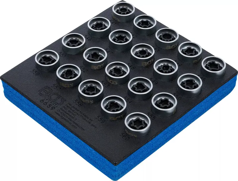 Náraďový modul 1/6 - BGS106659 Zástrčné hlavice pro bezpečnostní šrouby pro VAG Sada 20 dílů (BGS106659)