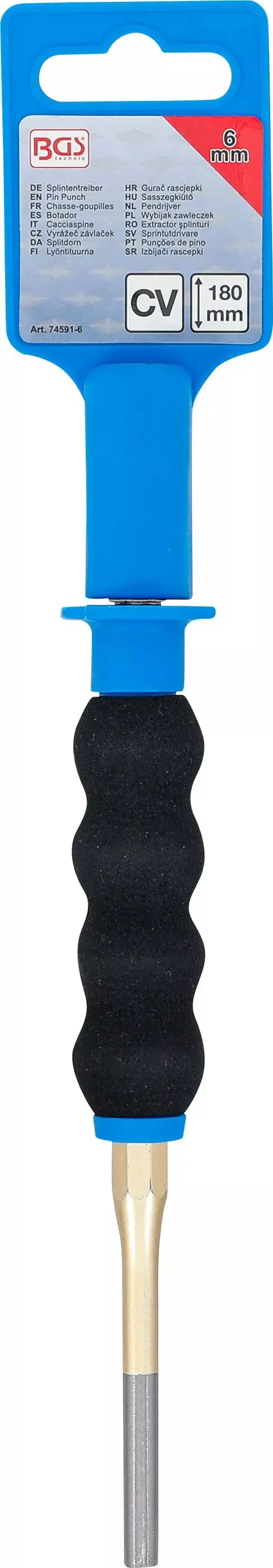 93932-bgs-74591-6-09