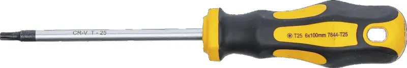 BGS 7844-T25 Šroubovák Kraftmann T-profil (pro Torx) T25 ze sady 7844 (BGS107844-T25)