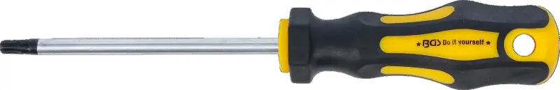BGS 7844-T30 Šroubovák Kraftmann T-profil (pro Torx) T30 ze sady 7844 (BGS107844-T30)